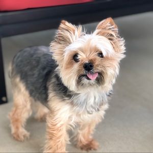 Meet your Posher, Erica